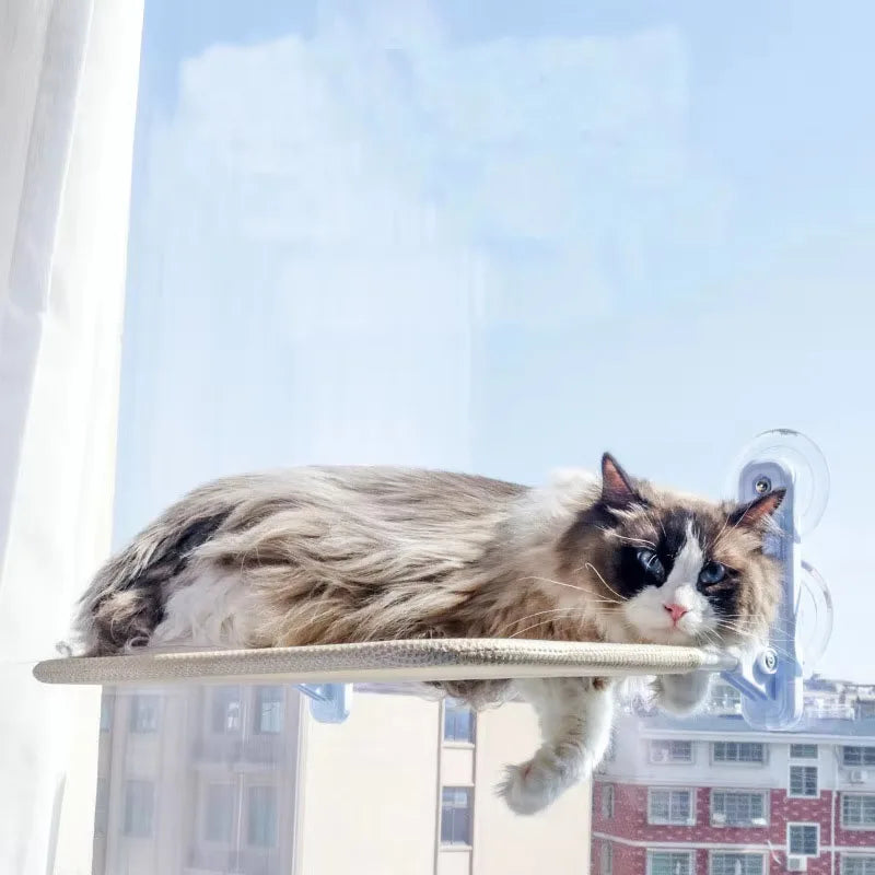 ZooFlex Foldable Cat Window Hammock – Suction Cup Window Perch