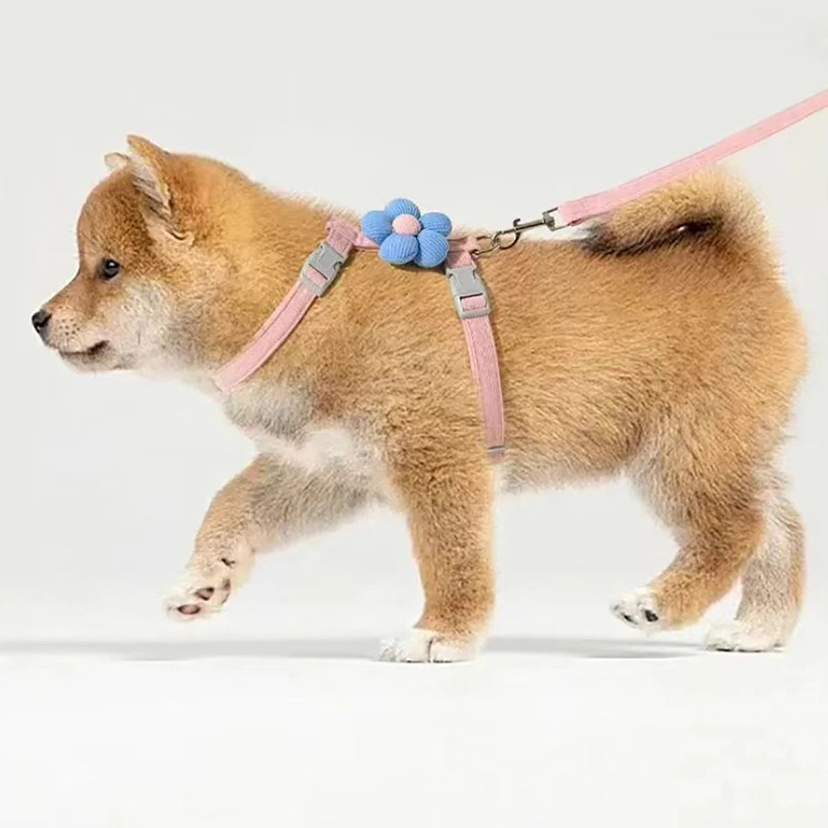 ZooFlex Adjustable Cat & Dog Harness – Breathable Leash Set