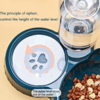 ZooFlex 3-in-1 Tilted Cat Food & Water Bowls – Gravity Water Dispenser