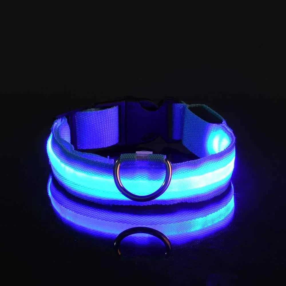 ZooFlex LED Flashing Dog Collar – Adjustable Nylon Safety Collar for Night Walks