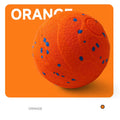 Zooflex PawMotion Smart Interactive Dog Ball