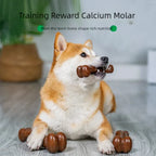 ZooFlex Durable Dog Bone Chew Toy – Tough Puppy Chewing Toy