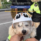 ZooFlex Cartoon Ant Dog Helmet – Cute Pet Costume Hat