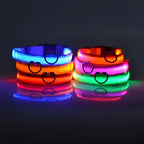 ZooFlex LED Flashing Dog Collar – Adjustable Nylon Safety Collar for Night Walks