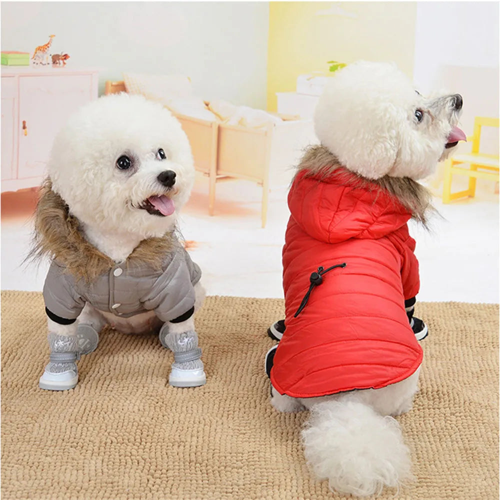 ZooFlex Winter Dog Coat – Lightweight Cotton Hooded Jacket for Small Dogs & Puppies