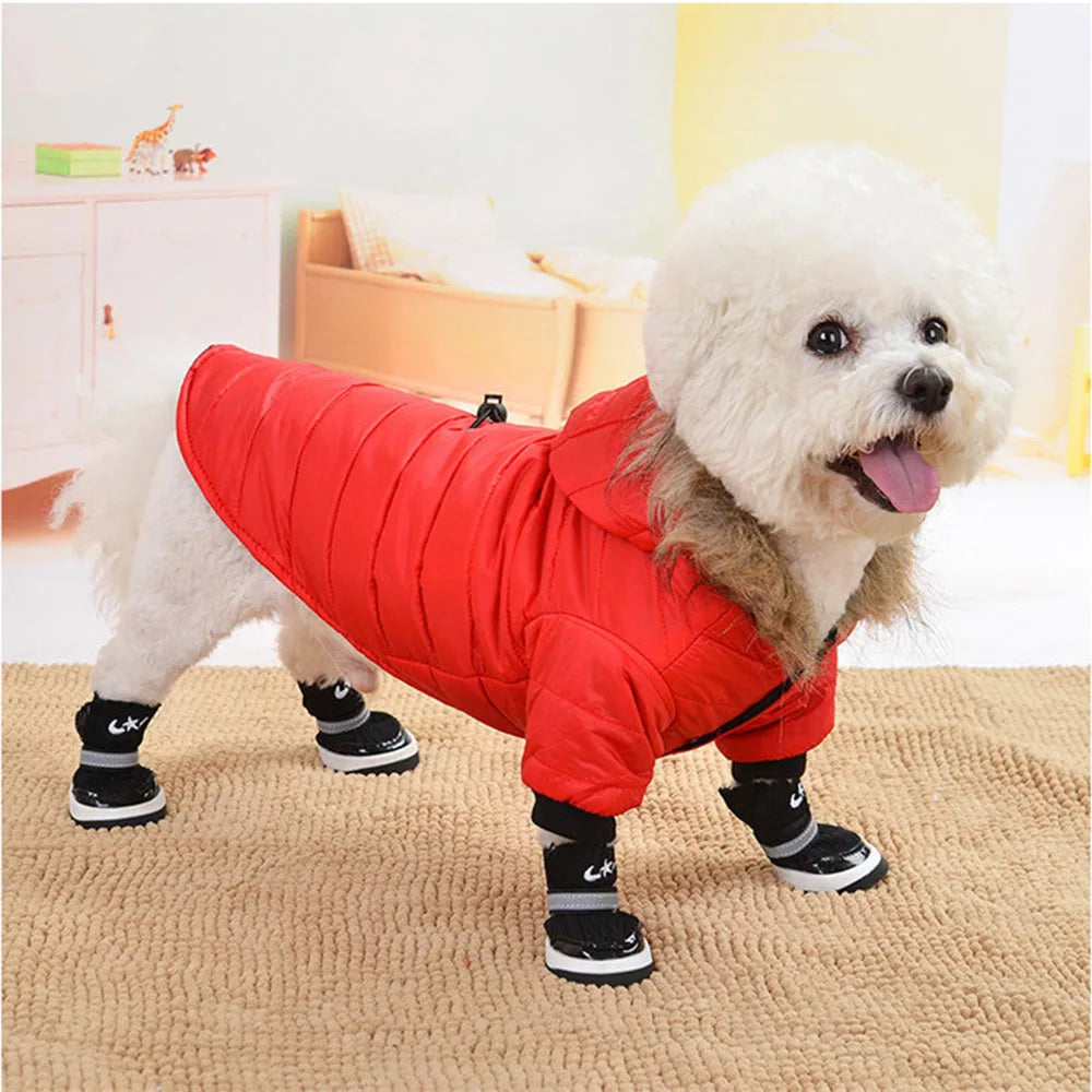 ZooFlex Winter Dog Coat – Lightweight Cotton Hooded Jacket for Small Dogs & Puppies