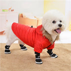 ZooFlex Winter Dog Coat – Lightweight Cotton Hooded Jacket for Small Dogs & Puppies
