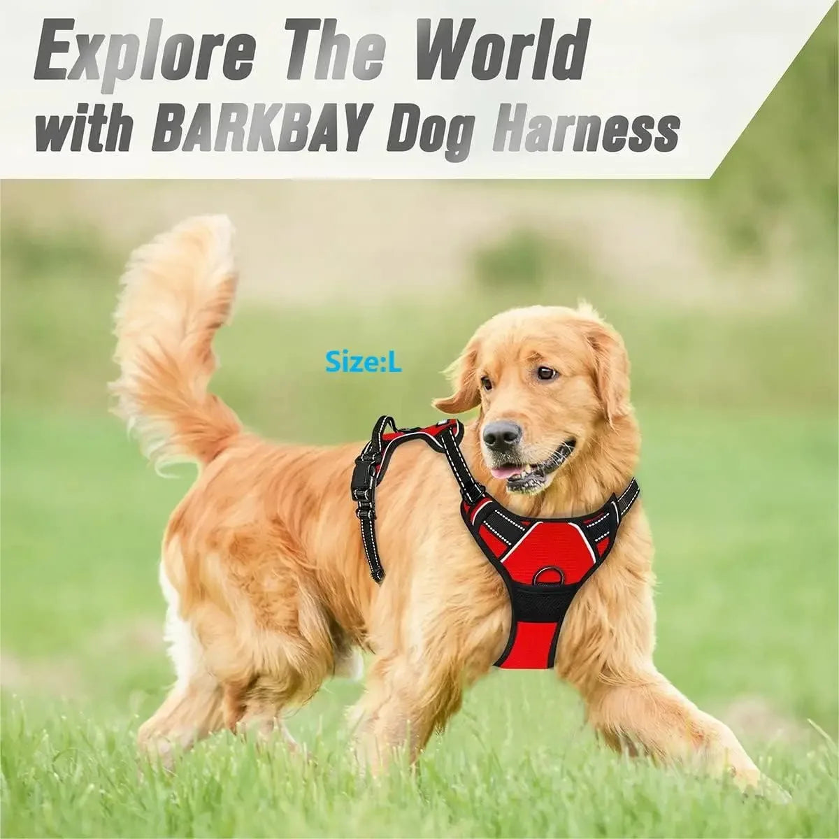 ZooFlex Adjustable Dog Harness & Leash Set for Small & Medium Dogs