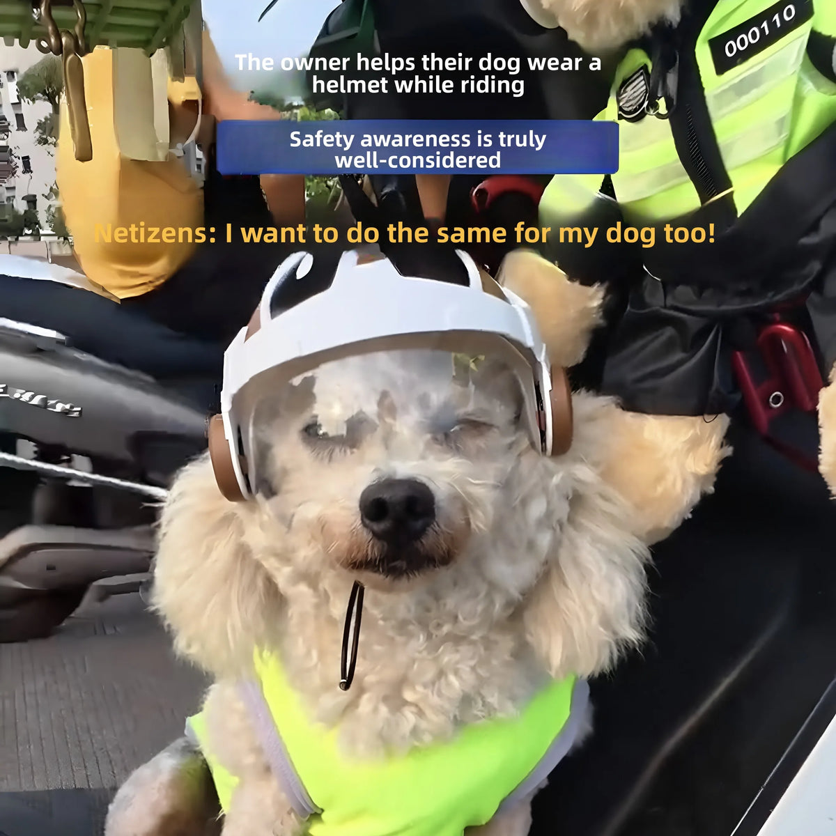 ZooFlex Cartoon Ant Dog Helmet – Cute Pet Costume Hat