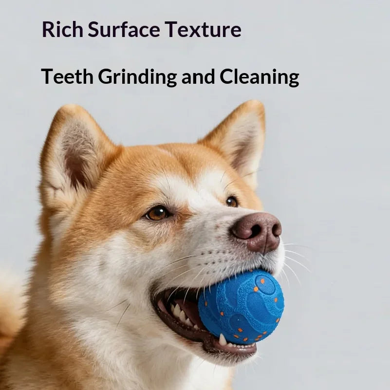 Zooflex PawMotion Smart Interactive Dog Ball