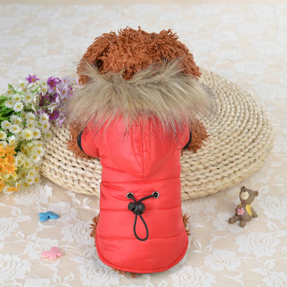 ZooFlex Winter Dog Coat – Lightweight Cotton Hooded Jacket for Small Dogs & Puppies