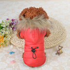 ZooFlex Winter Dog Coat – Lightweight Cotton Hooded Jacket for Small Dogs & Puppies