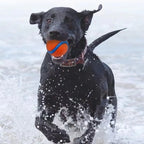 Zooflex BounceMax – Tough Bouncy Dog Ball