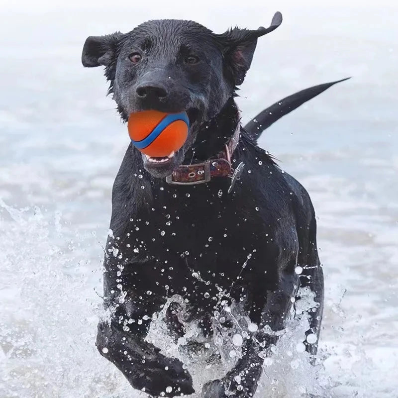 Zooflex BounceMax – Tough Bouncy Dog Ball