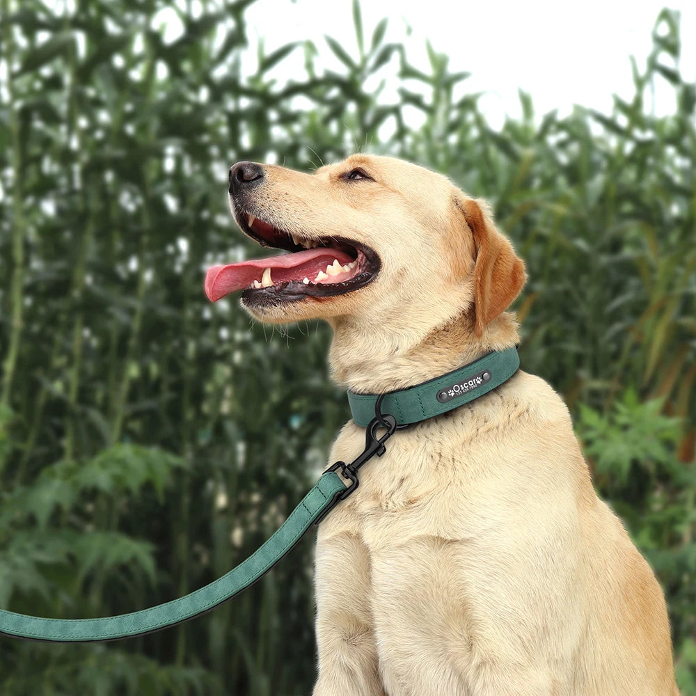 ZooFlex Custom Leather Dog Collar & Leash Set for Small, Medium & Large Dogs