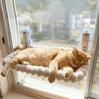 ZooFlex Cat Window Hammock – Suction Cup Window Perch for Indoor Cats