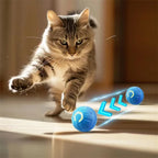 Zooflex PawPulse – Smart Interactive Moving Dog Ball