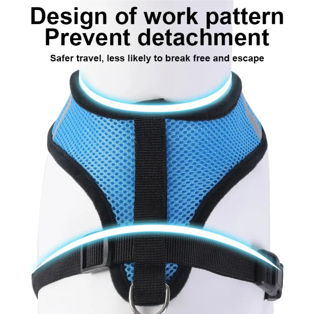 ZooFlex Mesh Cat & Dog Harness – Adjustable Walking Set