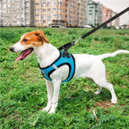 ZooFlex Mesh Cat & Dog Harness – Adjustable Walking Set