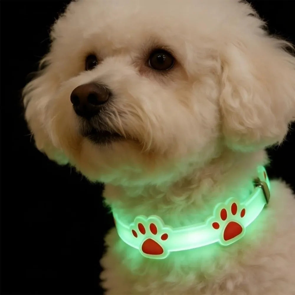 ZooFlex Glow-in-the-Dark Cat Collar – Adjustable Paw Print Design