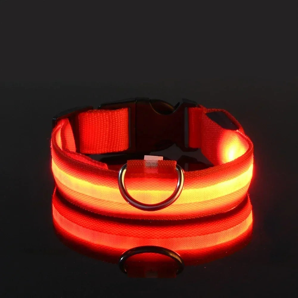 ZooFlex LED Flashing Dog Collar – Adjustable Nylon Safety Collar for Night Walks