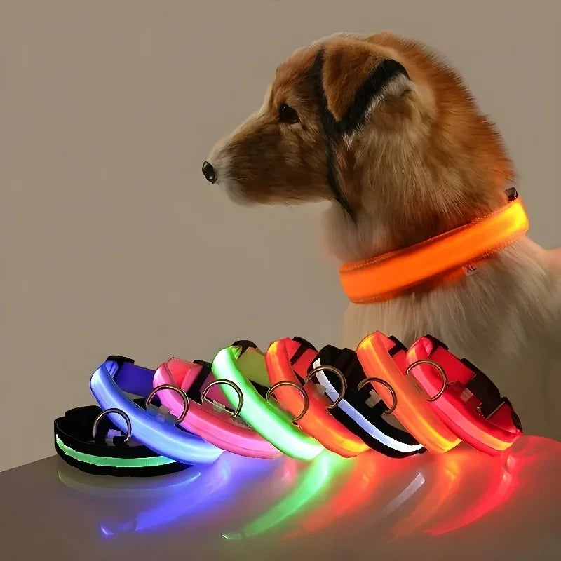 ZooFlex LED Flashing Dog Collar – Adjustable Nylon Safety Collar for Night Walks