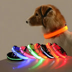 ZooFlex LED Flashing Dog Collar – Adjustable Nylon Safety Collar for Night Walks
