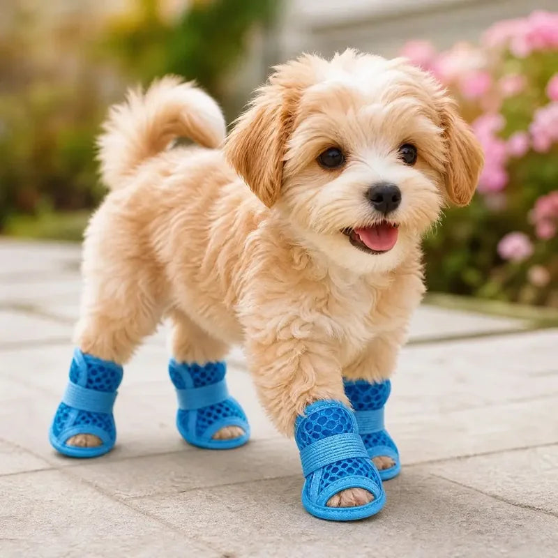 ZooFlex Summer Dog Shoes – Breathable Mesh Anti-Slip Puppy Sandals (4pcs)