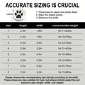 ZooFlex LED Dog Shoes – Breathable Anti-Slip Puppy Boots for Outdoor Walking