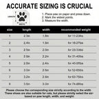 ZooFlex LED Dog Shoes – Breathable Anti-Slip Puppy Boots for Outdoor Walking