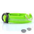 GlowCollar LED – BrightPaws