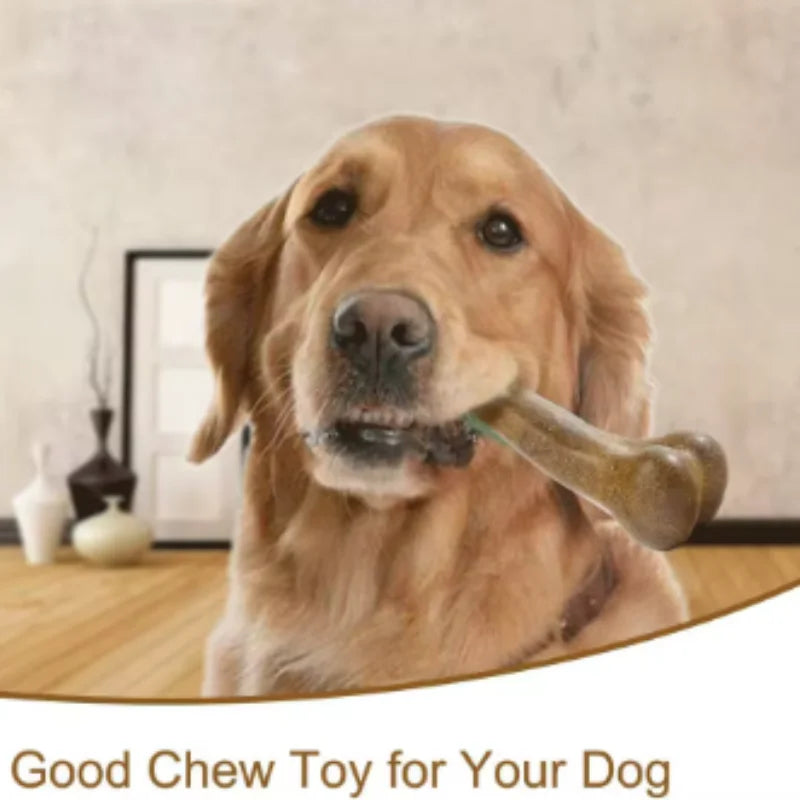 ZooFlex Durable Dog Bone Chew Toy – Tough Puppy Chewing Toy