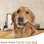 ZooFlex Durable Dog Bone Chew Toy – Tough Puppy Chewing Toy