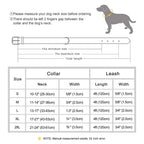 ZooFlex Custom Leather Dog Collar & Leash Set for Small, Medium & Large Dogs