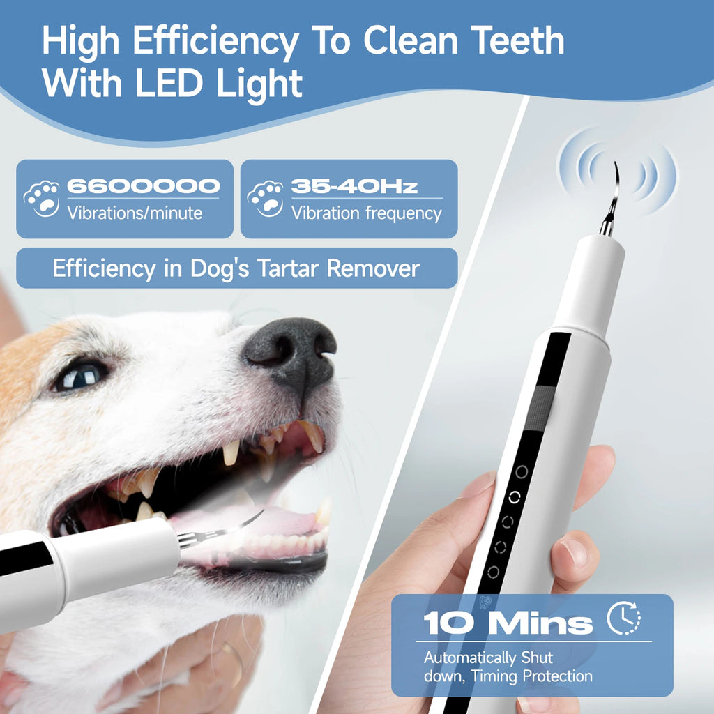 ZooFlex Ultrasonic Pet Dental Scaler for Dogs & Cats – Plaque & Tartar Cleaning Tool