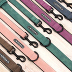 ZooFlex Custom Leather Dog Collar & Leash Set for Small, Medium & Large Dogs