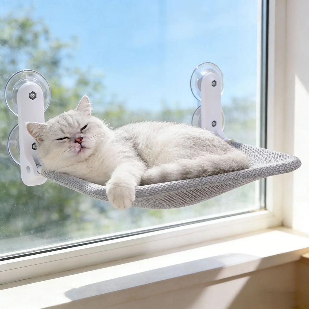 ZooFlex Foldable Cat Window Hammock – Suction Cup Window Perch