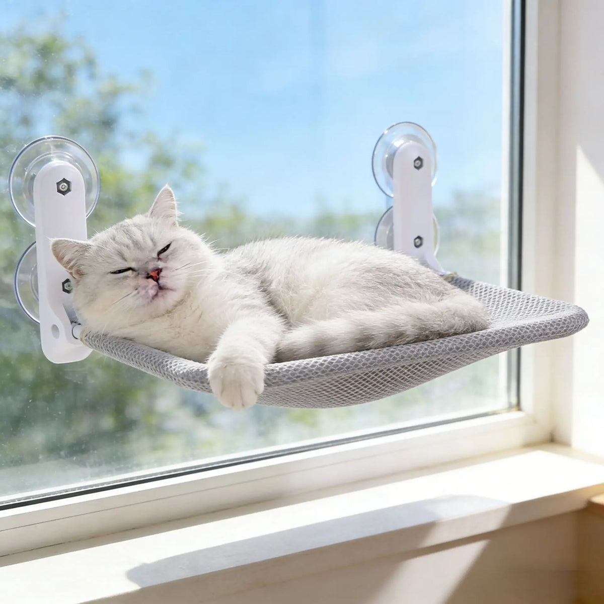 ZooFlex Foldable Cat Window Hammock – Suction Cup Window Perch
