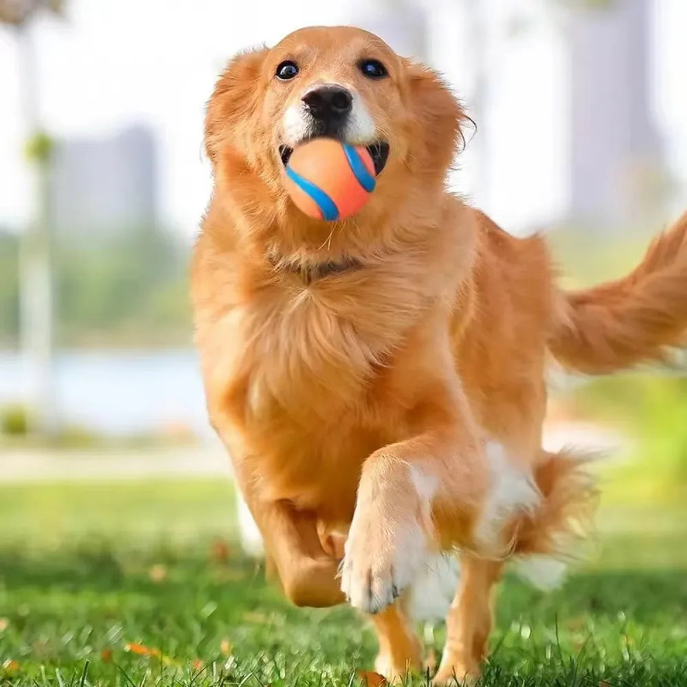 Zooflex BounceMax – Tough Bouncy Dog Ball
