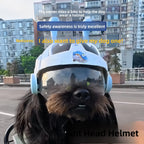 ZooFlex Cartoon Ant Dog Helmet – Cute Pet Costume Hat