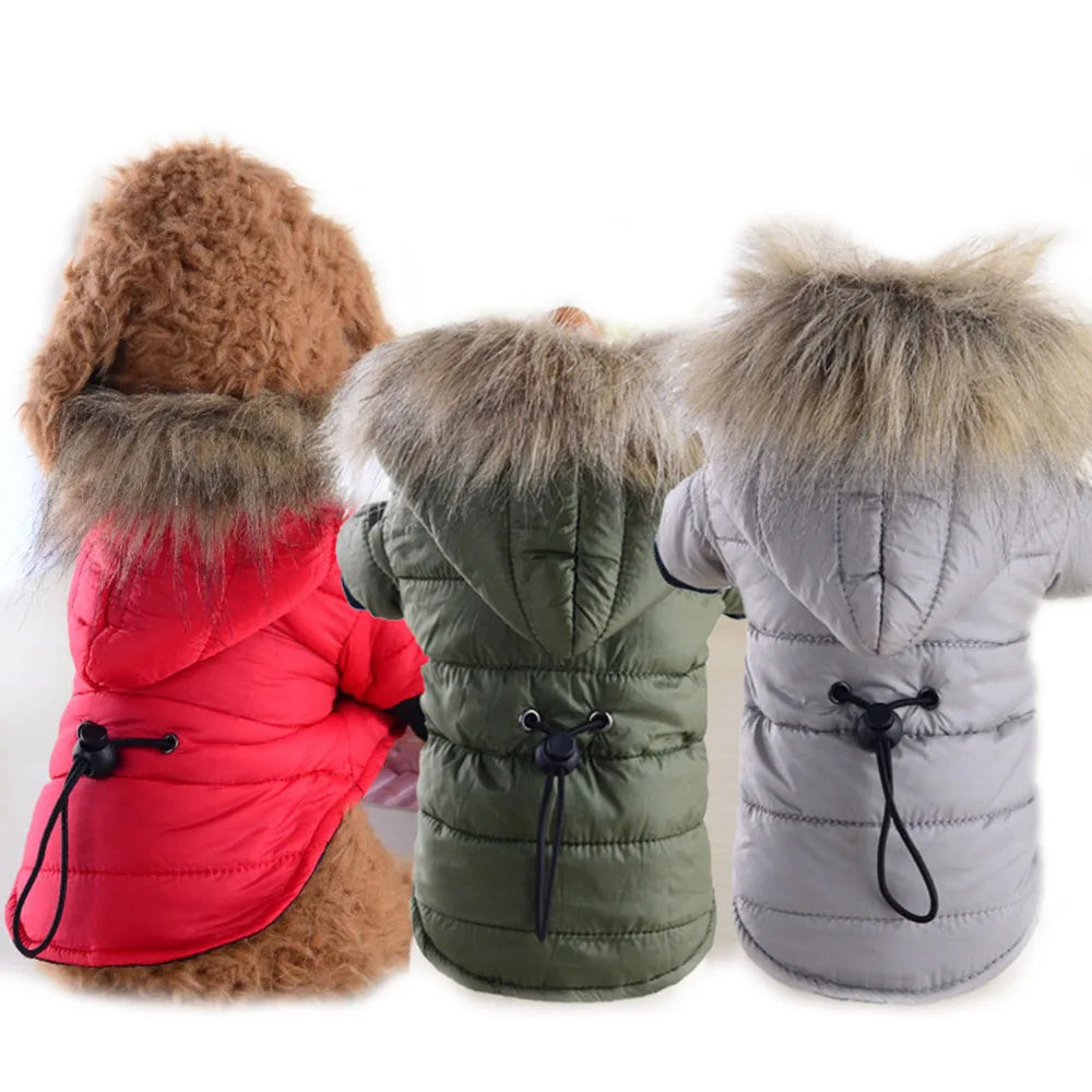 ZooFlex Winter Dog Coat – Lightweight Cotton Hooded Jacket for Small Dogs & Puppies