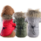 ZooFlex Winter Dog Coat – Lightweight Cotton Hooded Jacket for Small Dogs & Puppies