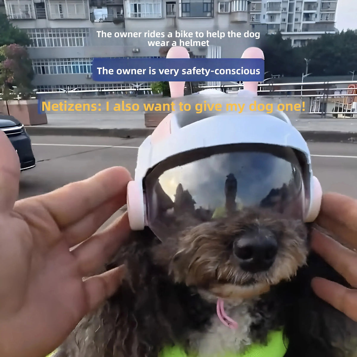 ZooFlex Cartoon Ant Dog Helmet – Cute Pet Costume Hat