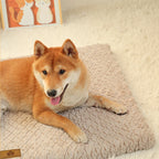 ZooFlex 3D Sponge Dog Bed – Washable Faux Fur Cover & Non-Slip Pet Crate Mattress