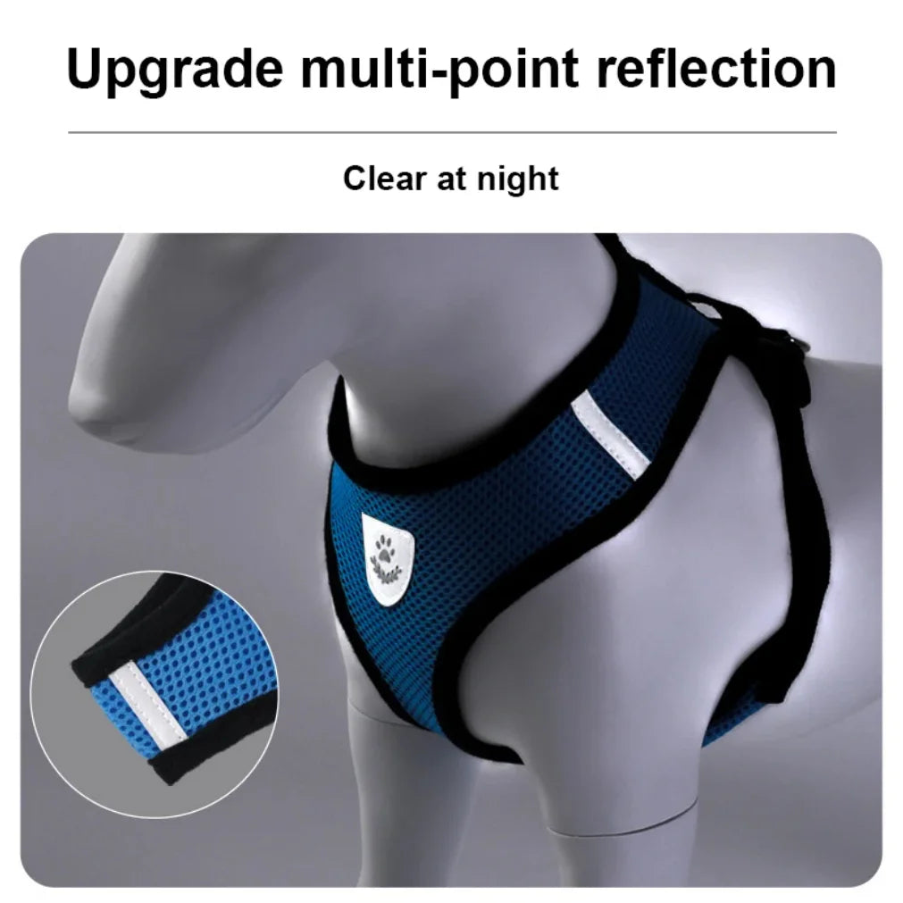 ZooFlex Mesh Cat & Dog Harness – Adjustable Walking Set