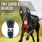 ZooFlex Adjustable Dog Harness & Leash Set for Small & Medium Dogs