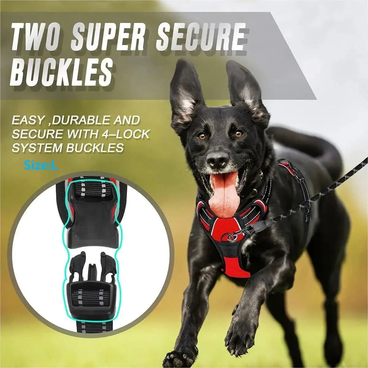 ZooFlex Adjustable Dog Harness & Leash Set for Small & Medium Dogs