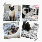 ZooFlex Soft Fluffy Pet Blanket – Warm Cartoon Print Dog & Cat Bed Mat