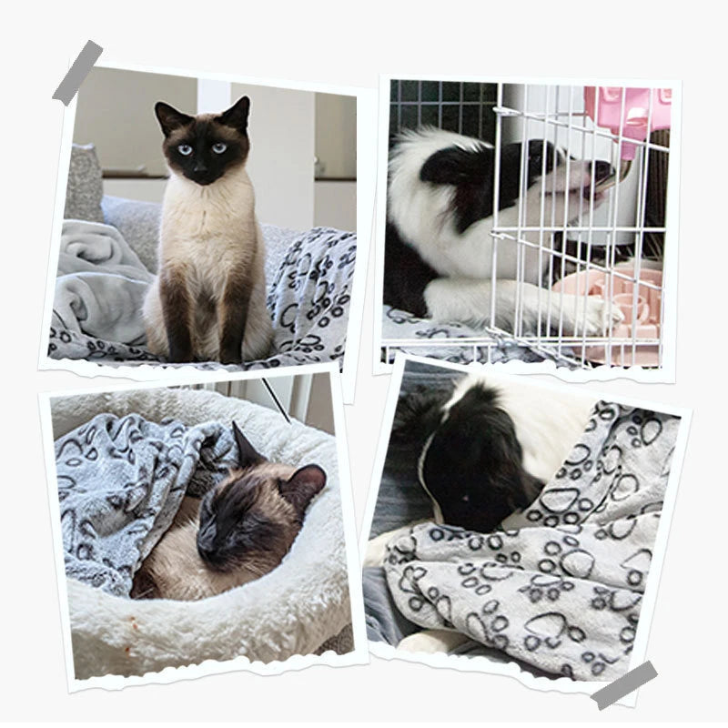 ZooFlex Soft Fluffy Pet Blanket – Warm Cartoon Print Dog & Cat Bed Mat