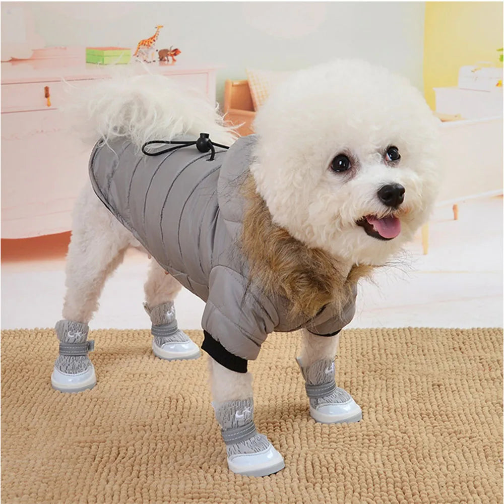 ZooFlex Winter Dog Coat – Lightweight Cotton Hooded Jacket for Small Dogs & Puppies
